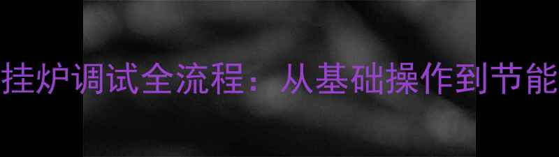 图片 专业指南亚力山大壁挂炉调试全流程：从基础操作到节能技巧，助您高效取暖