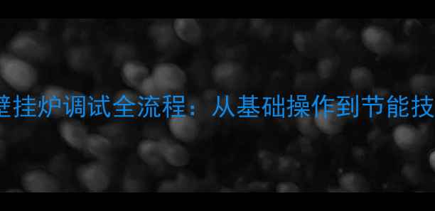 专业指南亚力山大壁挂炉调试全流程从基础操作到节能技巧助您高效取暖