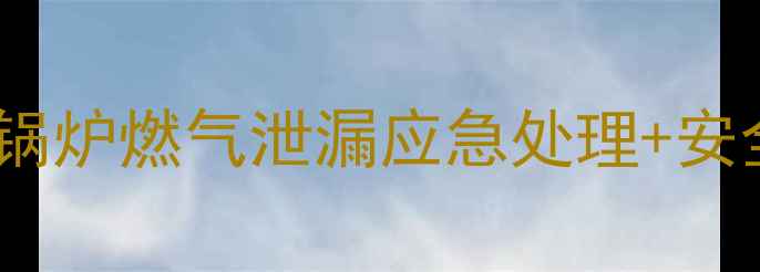 图片 专业指南家用锅炉燃气泄漏应急处理+安全操作全攻略1