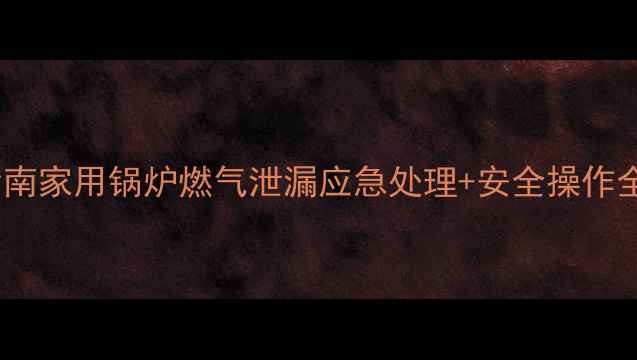 图片 专业指南家用锅炉燃气泄漏应急处理+安全操作全攻略2