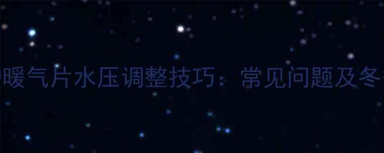 专业指南菲斯曼锅炉暖气片水压调整技巧常见问题及冬季采暖设备维护要点