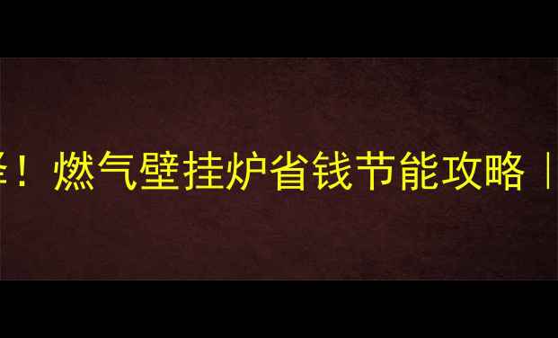 图片 东北家庭采暖新选择！燃气壁挂炉省钱节能攻略｜附选购安装全指南1