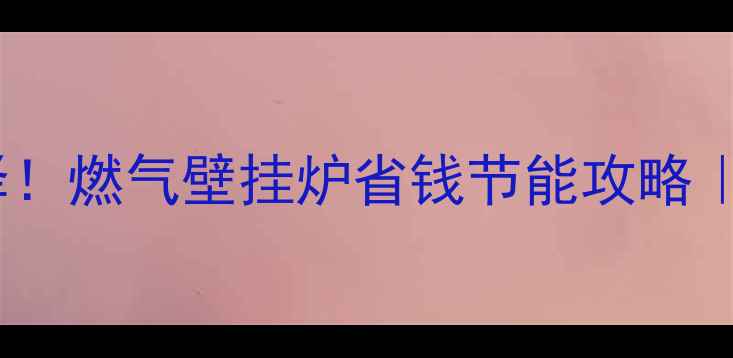 图片 东北家庭采暖新选择！燃气壁挂炉省钱节能攻略｜附选购安装全指南2