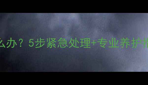 东北平房暖气片冻结怎么办5步紧急处理专业养护指南附设备选购秘籍