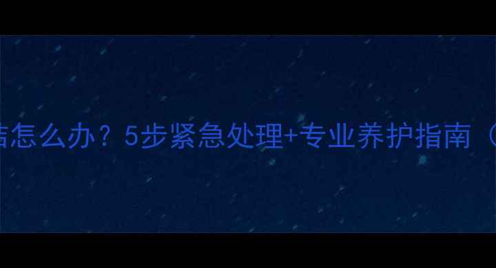 图片 东北平房暖气片冻结怎么办？5步紧急处理+专业养护指南（附设备选购秘籍）1