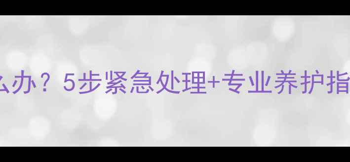 图片 东北平房暖气片冻结怎么办？5步紧急处理+专业养护指南（附设备选购秘籍）2