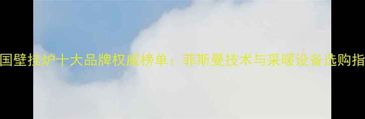 图片 中国壁挂炉十大品牌权威榜单：菲斯曼技术与采暖设备选购指南