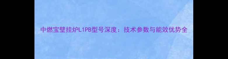 中燃宝壁挂炉L1PB型号深度技术参数与能效优势全