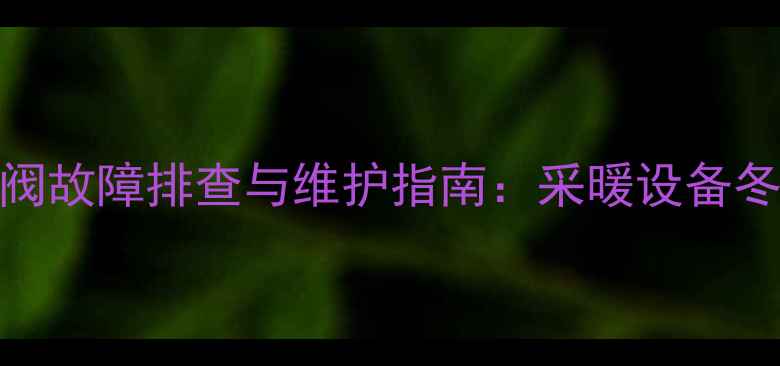 图片 中燃宝壁挂炉进水阀故障排查与维护指南：采暖设备冬季供暖无忧全攻略