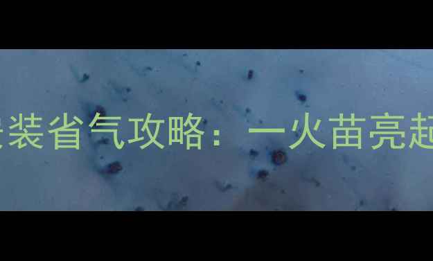 中燃宝壁挂炉选购安装省气攻略一火苗亮起背后的采暖设备全