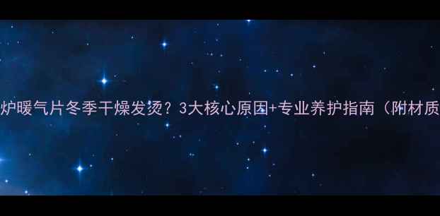图片 主壁挂炉暖气片冬季干燥发烫？3大核心原因+专业养护指南（附材质对比）