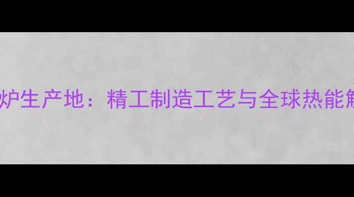 图片 主德国威能壁挂炉生产地：精工制造工艺与全球热能解决方案领导者2