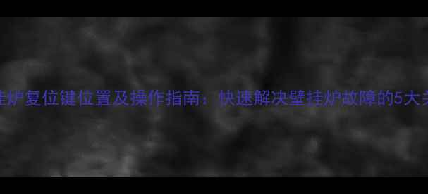 图片 乐天壁挂炉复位键位置及操作指南：快速解决壁挂炉故障的5大关键步骤