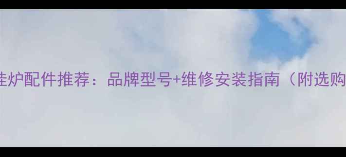 乐天然气壁挂炉配件推荐品牌型号维修安装指南附选购避坑清单