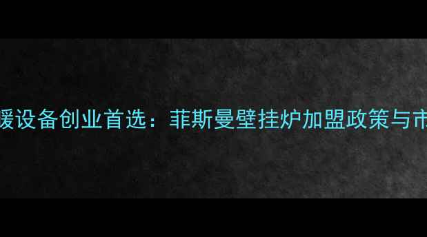 图片 乐山采暖设备创业首选：菲斯曼壁挂炉加盟政策与市场前景