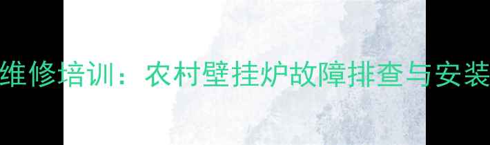 乡镇采暖设备维修培训农村壁挂炉故障排查与安装技术实战教学