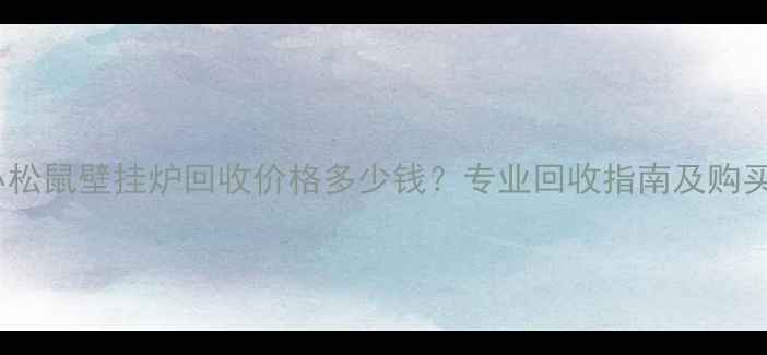 二手小松鼠壁挂炉回收价格多少钱专业回收指南及购买建议
