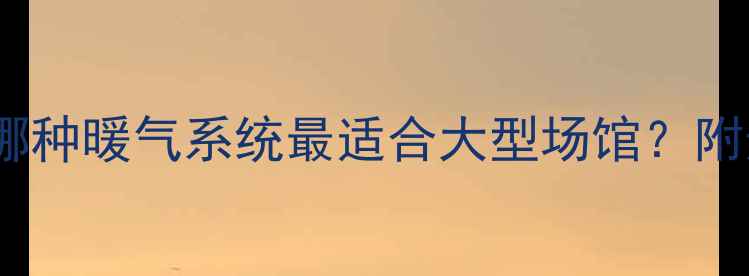 图片 体育馆采暖设备全：哪种暖气系统最适合大型场馆？附选型指南与成本对比1