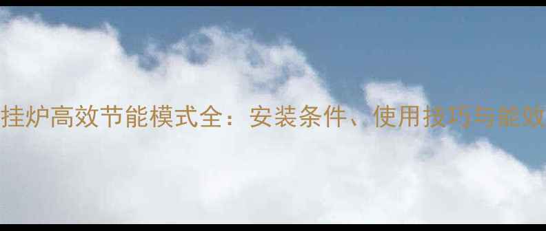 图片 佛奈儿壁挂炉高效节能模式全：安装条件、使用技巧与能效提升方案