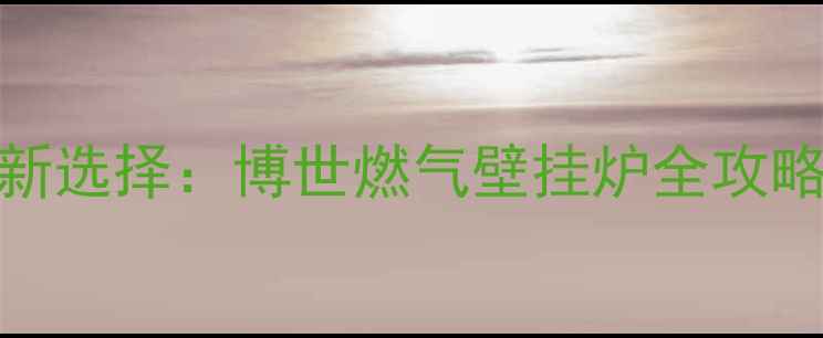 图片 佳木斯家庭采暖新选择：博世燃气壁挂炉全攻略（附选购指南）