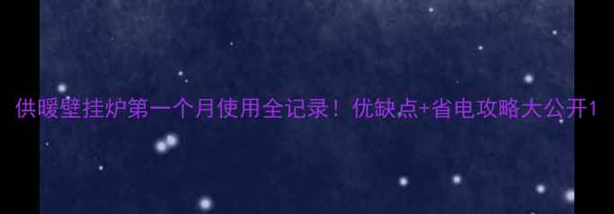 图片 供暖壁挂炉第一个月使用全记录！优缺点+省电攻略大公开1