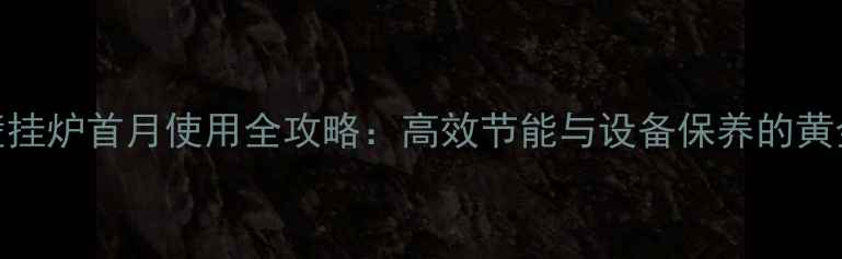 图片 供暖壁挂炉首月使用全攻略：高效节能与设备保养的黄金法则