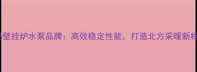 图片 依玛壁挂炉水泵品牌：高效稳定性能，打造北方采暖新标杆1