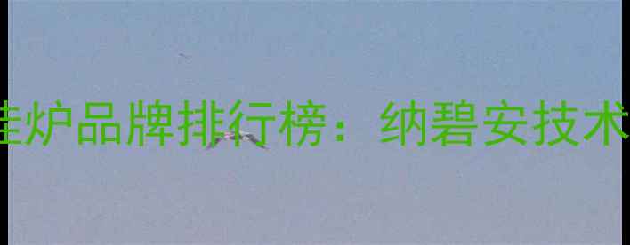 全球十大壁挂炉品牌排行榜纳碧安技术与选购指南