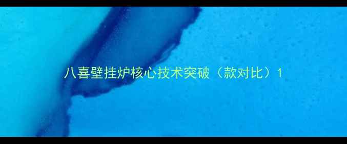 图片 八喜壁挂炉核心技术突破（款对比）1