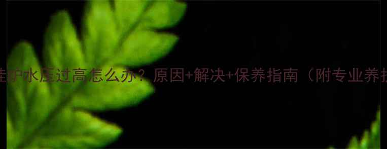 八喜壁挂炉水压过高怎么办原因解决保养指南附专业养护秘籍