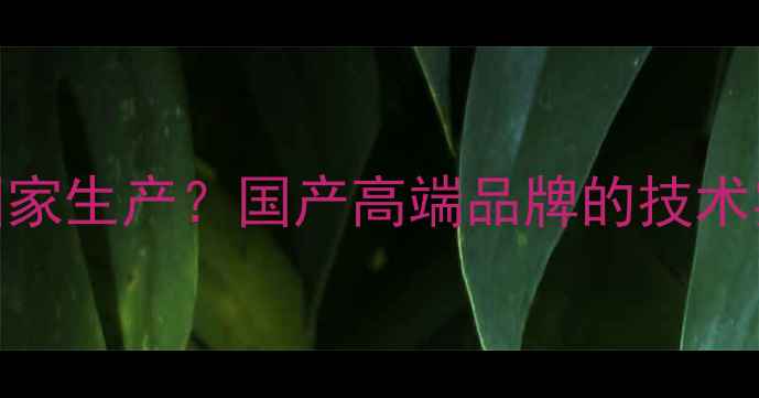 图片 八喜暖气哪个国家生产？国产高端品牌的技术实力与市场认可