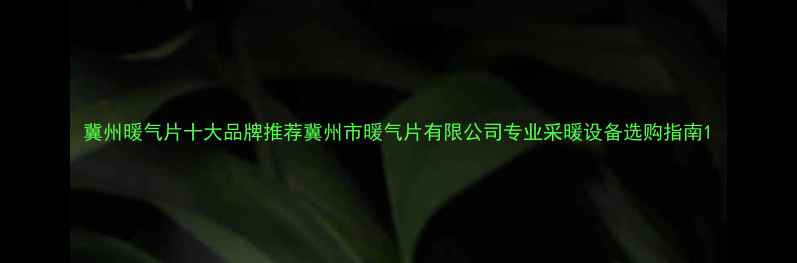 图片 冀州暖气片十大品牌推荐冀州市暖气片有限公司专业采暖设备选购指南1