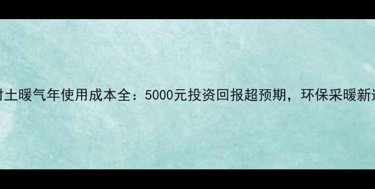 图片 农村土暖气年使用成本全：5000元投资回报超预期，环保采暖新选择