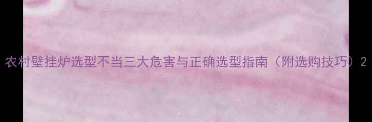 农村壁挂炉选型不当三大危害与正确选型指南附选购技巧