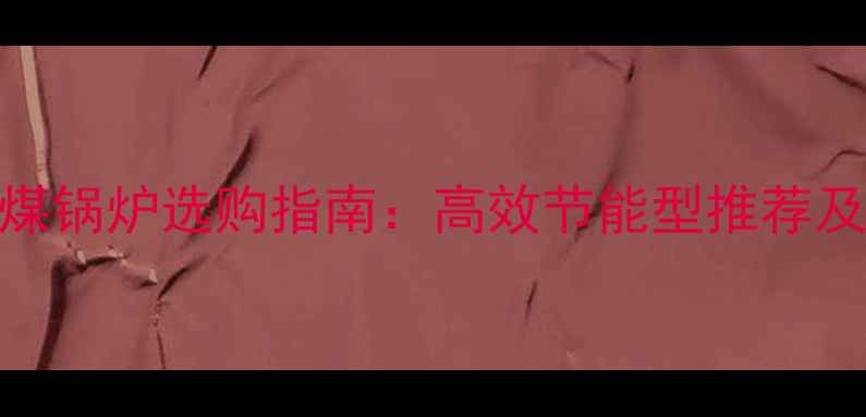 图片 农村家用燃煤锅炉选购指南：高效节能型推荐及安装维护全