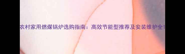 图片 农村家用燃煤锅炉选购指南：高效节能型推荐及安装维护全1