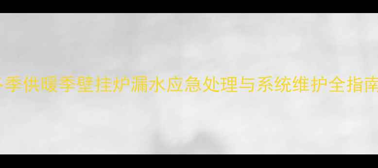 图片 冬季供暖季壁挂炉漏水应急处理与系统维护全指南1