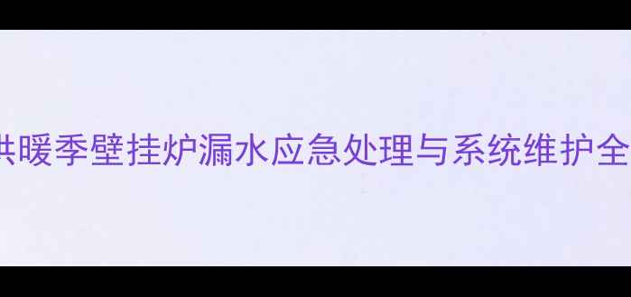 冬季供暖季壁挂炉漏水应急处理与系统维护全指南