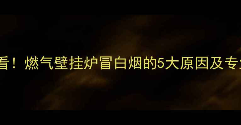 图片 冬季供暖必看！燃气壁挂炉冒白烟的5大原因及专业解决方案2