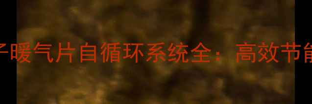 图片 冬季取暖必备！烧炉子暖气片自循环系统全：高效节能+零维护的环保方案2