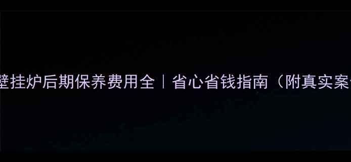 图片 冷凝壁挂炉后期保养费用全｜省心省钱指南（附真实案例）2
