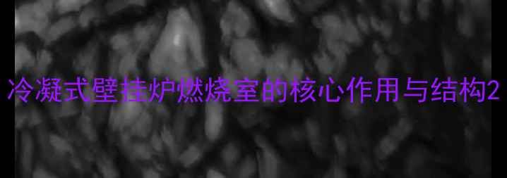 图片 冷凝式壁挂炉燃烧室的核心作用与结构2