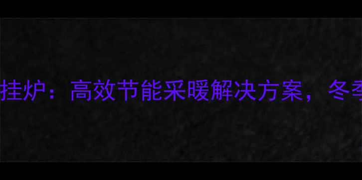 图片 凯迪啦咪燃气壁挂炉：高效节能采暖解决方案，冬季温暖保驾护航1
