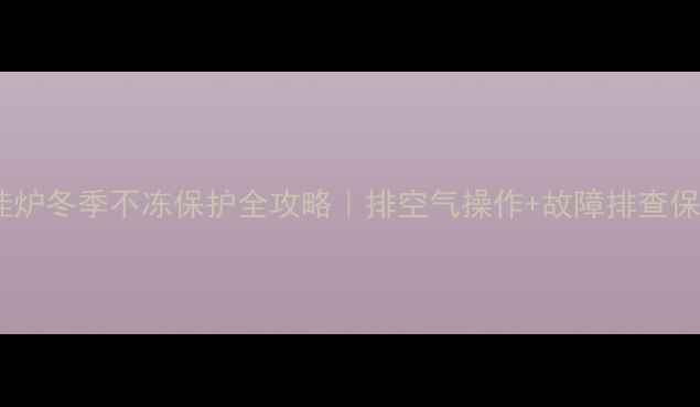 创尔特壁挂炉冬季不冻保护全攻略排空气操作故障排查保姆级教程