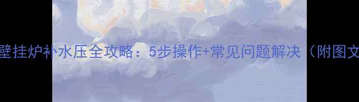 利雅路壁挂炉补水压全攻略5步操作常见问题解决附图文教程