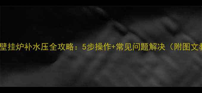 图片 利雅路壁挂炉补水压全攻略：5步操作+常见问题解决（附图文教程）1