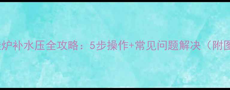 图片 利雅路壁挂炉补水压全攻略：5步操作+常见问题解决（附图文教程）2