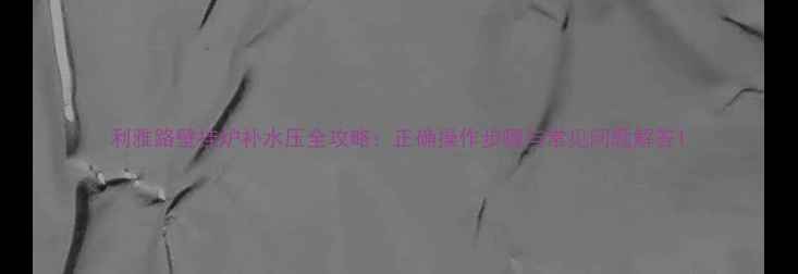 图片 利雅路壁挂炉补水压全攻略：正确操作步骤与常见问题解答1