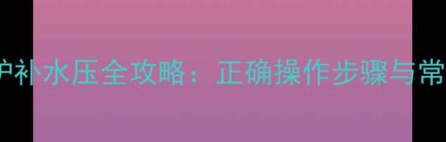 图片 利雅路壁挂炉补水压全攻略：正确操作步骤与常见问题解答2
