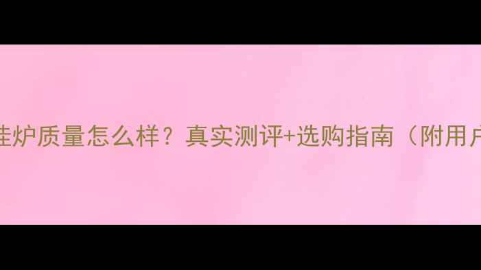 图片 力科壁挂炉质量怎么样？真实测评+选购指南（附用户反馈）